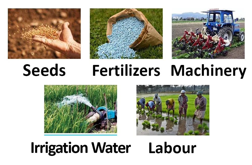 Farm Advisory